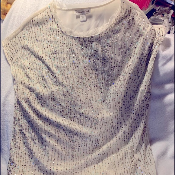 Coldwater Creek Tops - Coldwater Creek XL Cream Top Sequins Galore